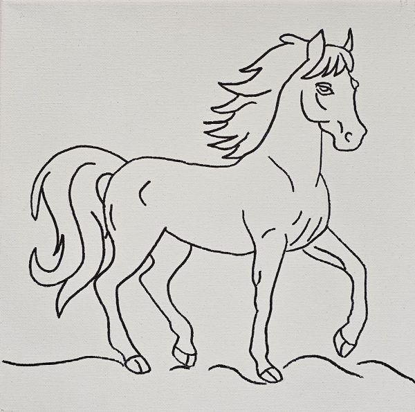 Flat view of full horse in profile