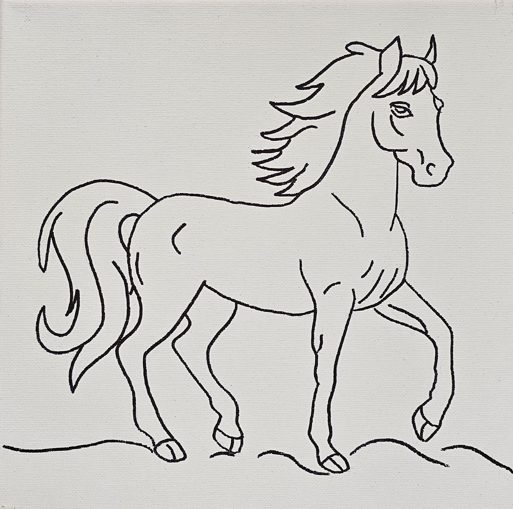 Flat view of full horse in profile